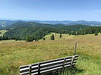 Blick unterhalb Herzogenhorn (Foto: Hella Brückel)