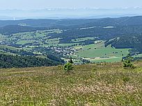 Herzogenhorn: Alpenblick (Foto: Hella Brückel)