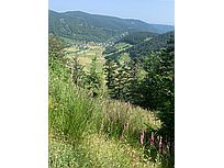 Menzenschwand (Foto: Hella Brückel)