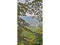 Blick in Richtung Kaiserstuhl (Foto: Monika Wendlandt)