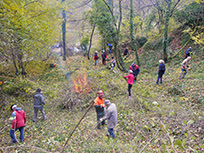 Landschaftspflege am 13. November 2021 (Foto: Henry Brückel)