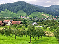 Ödsbach, in Richtung Nordosten (Foto: Rosina Kaltenbach)