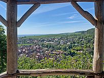 Blick auf Ribeauvillé (Foto: Hella Brückel)