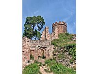 Burg Hohrappoltstein (Foto: Hella Brückel)