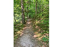 Wanderweg (Foto: Hella Brückel)