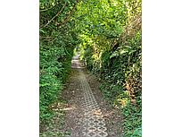 Wanderweg (Foto: Hella Brückel)