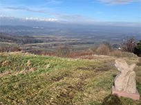 Skulptur von Christopher Lampart „Taube Flieg“ (2012) (Foto: Monika Wendlandt)