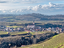 Kiechlinsbergen mit der Kirche St. Petronilla (Foto: Monika Wendlandt)