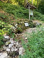 Wehra-Quelle (1100m ü. M.) (Foto: Hella Brückel)