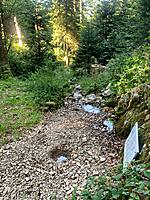 Wehra-Quelle (1100m ü. M.) (Foto: Hella Brückel)